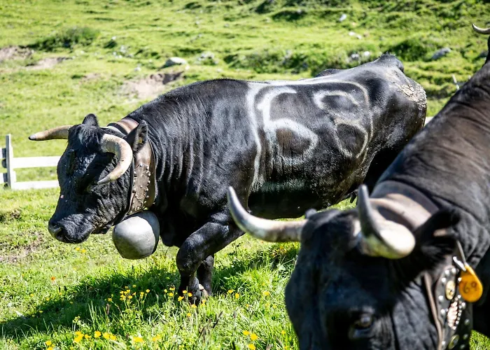 Gite Du Prilett' Inn 3*