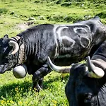 Du Prilet Herberg 3*